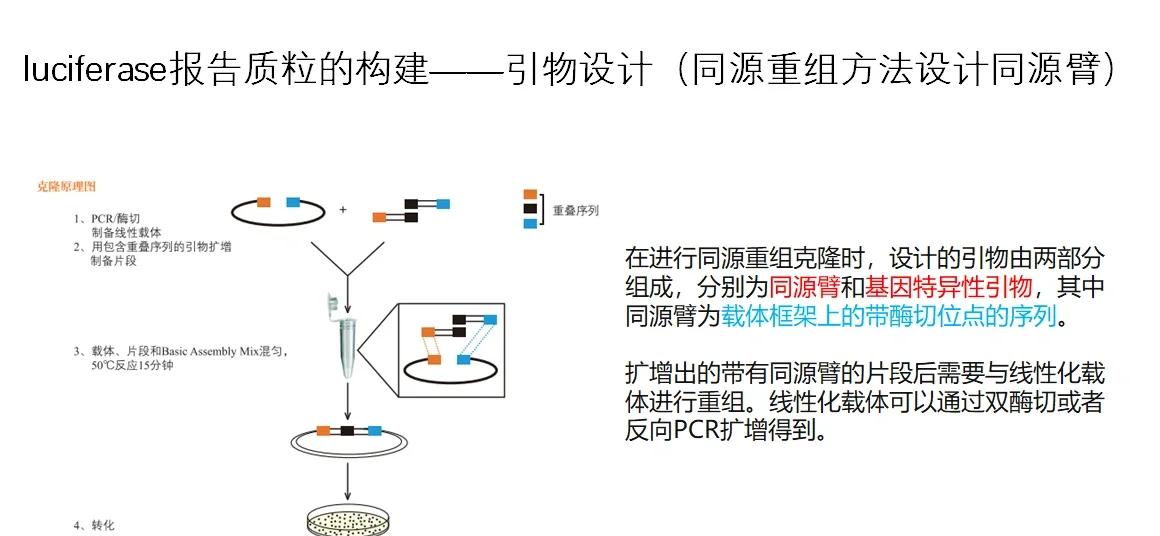 企业重组流程优化(企业重组流程优化建议)