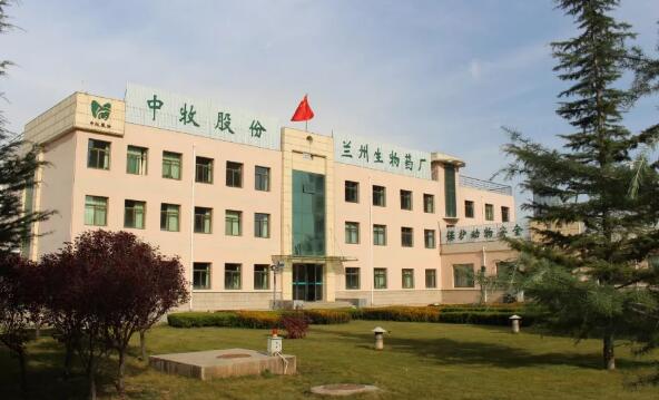 兰州企业上市辅导(兰州上市公司龙头企业)