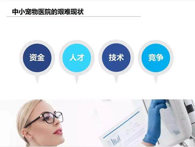 宠物企业资金管理(宠物企业资金管理办法)